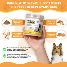 Amazon.com : Guanshiya Pancreatic Enzymes for Dogs (12 oz)