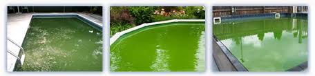 The tasks are a little different but the ultimate goal is the same; Safely Clean Up Green Algae In Vinyl Liner Pools Intheswim Pool Blog