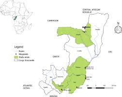 République du congo short form: Genetic Diversity And Phylogenetic Relationships Of Tsetse Flies Of The Palpalis Group In Congo Brazzaville Based On Mitochondrial Cox 1 Gene Sequences Parasites Vectors Full Text