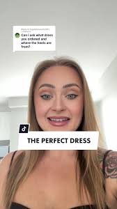 Wilfred Moore Dress Aritzia