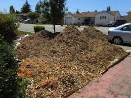The advantage is that they are truly adding organic. Pin On Lawn Conversion To California Native Plants