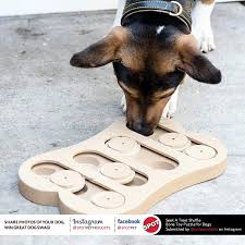 With it's turning wheel, it's sliding parts, it made dinner fun for the first time for dogs. Ethical Pet Seek A Treat Shuffle Bone Dog Puzzle Amazon Ca Pet Supplies