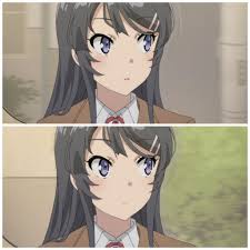 этот глупый свин не понимает мечту девочки зайки фильм Anime Animegirl Image Kawaii Cute Girl Art Animeart Seishun Buta Yarou Wabunny Girl Senpai No Yume Wo Minai Anime Bunny Girl Mai Sakurajima Anime