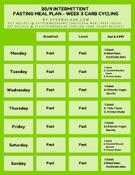20 4 Intermittent Fasting Warrior Diet Plant Based Meal Planning Detox Meal Plan