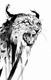 Lynx Rys Lynx Drawings Animal Drawings Drawings