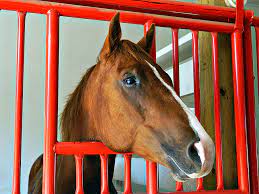 These names can be remembered easily. 7 Of The Weirdest Racehorse Names In History Britannica