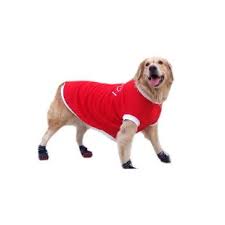 Dogs Clothes Shoes Market 2019 Global Outlook Pets First