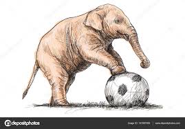 Di sini, kita berbicara tentang sketsa bunga sederhana. Sketsa Gambar Bola