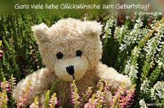 Grusskarten Mit Djabbi Teddy Gluckwunsche Geburtstag Grusse Geburtstagsgrusse