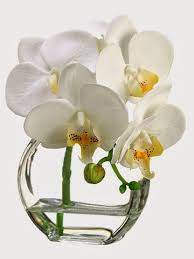 A Silk Flower Depot Blog Beauty Of Nature Faux Flower Arrangements Orchids Phalaenopsis Orchid