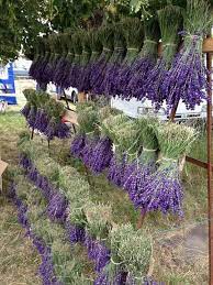 The Homestead Gardening Tips Living Off The Land Earth Energy One With Mother Nature Save The Bees Lavender Garden Lavender Flowers Lavender Fields