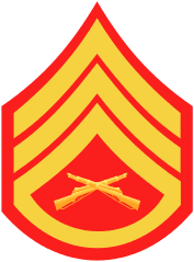 Ssgt supervisory duties differ from those of the tsgt only in scope and span of control. Marine Corps Staff Sergeant Military Ranks