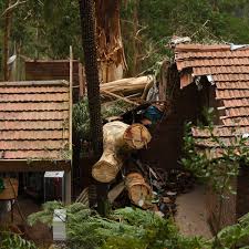 Maybe you would like to learn more about one of these? You Feel A Bit Abandoned Families Left In The Cold As Power Outages Drag On In Victoria S Storm Hit Dandenongs Victoria The Guardian