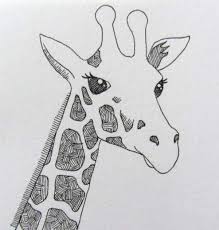 Simple Line Drawing Of Giraffe Google Search Giraffe Art Giraffe Drawing Animal Line Drawings