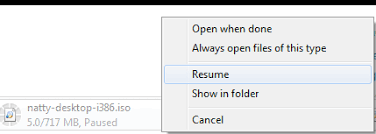 download manager resume downloads