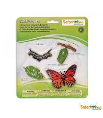 Ciclo De Vida Mariposa Monarca Montessori Para Todos Danaus Plexippus Ciclo Vital Ciclo De Vida De La Mariposa