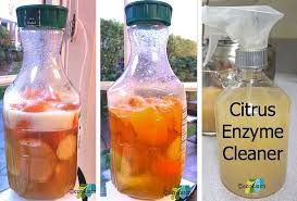 citrus enzyme cleaner recipe