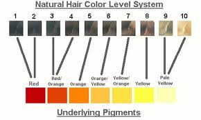 Use This Chart To Get To Know Underlying Pigments Brassy Hair Hair Color Chart Hair Color