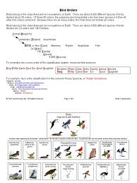 Bird Order Chart Birds Of Prey Beak Bird Species