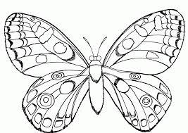 Select from 35478 printable coloring pages of cartoons, animals, nature, bible and many more. Insect Coloring Pages Coloring Home