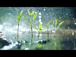 Video de musica relajante musicarelajante.principios.info/. Youtube Relaxing Music Raindrops