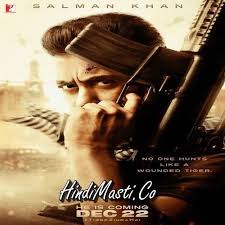 Tiger Zinda Hai Theme Song 320 Kbps Mp3 Hindi Movie Mp3 Songs Free Download Hindimasti Co Ek Tha Tiger Salman Khan Salman Khan Wallpapers Lenny kravitz — the chamber (320 kbps) 04:54. tiger zinda hai theme song 320 kbps