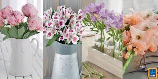 Order delivery or pickup from more than 300 retailers and grocers. Aldi Stores Uk No Twitter We Have Some Blooming Beautiful Flowers In Store What S Your Favourite Flower Http T Co Ts2uuqyw8i Http T Co Davhzhxshc