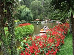A visit to a botanical garden simple essay. Government Botanical Garden Ooty Things To See And Do Cityflowersindia