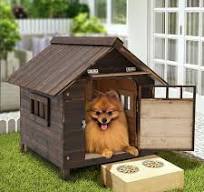 Pet House & Dog House with Window and Door for Dog within ...