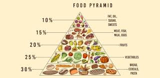 Well, what do you know? The Food Pyramid Quiz Trivia Proprofs Quiz