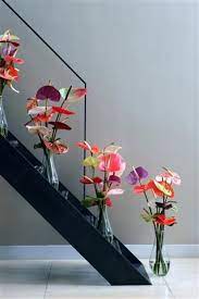 Love The Colours Of These Anthuriums C Anthura Anthurium Cutflower Unlimited Indoor Anthurium Bouquet Anthurium Plant Bud Vases Arrangements
