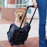 Convertible pet backpack for outdoor excursions from snoozerpetproducts.com