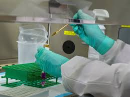 Uc Berkeley Creating Popup Coronavirus Diagnostic Lab Piedmont Exedra