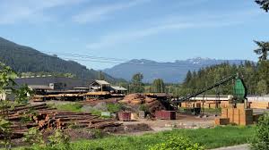 Quality and service since 1953 since 1953, northwest millwork company has been providing chicagoland's homeowners, contractors, designers and architects with superior quality millwork at competitive prices. Wholesale Millwork Supply Companies In Washington State Jobs Ecityworks