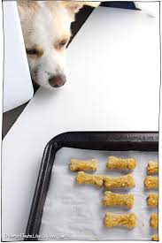 Pets are a part of our family, which is why it's a great idea to try baking up some homemade treats for them. Pumpkin Peanut Butter Dog Treats Just 3 Ingredients It Doesn T Taste Like Chicken