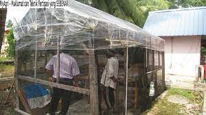 Check spelling or type a new query. Perkongsian Pelbagai Contoh Pelan Rumah Cendawan Deko Rumah