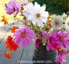 Pin On Gardening