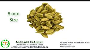 Ce and fda quantity required: Green Cardamom 8mm
