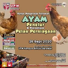 Dekat sini aku nk share design dan proses yang agak mudah dan murah untuk buat reban ayam kampung. Kursus Pengurusan Ternakan Ayam Penelur Penyediaan Pelan Perniagaan Universiti Putra Malaysia Bintulu Sarawak Campus