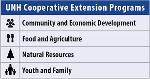 If so was it as effective as deet ? Https Extension Unh Edu Resources Files Resource000963 Rep1073 Pdf