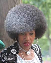 I Have A Grey Hair A Lone Grey Strand Nestled With The Rest Of The Dark I Wonder When It Started Gr Natural Hair Styles Beautiful Gray Hair Natural Gray Hair