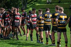 Rare waikato chiefs super rugby winter jacket 50/52 adidas 2006 new zealand. Sunlive Chiefs Rugby Club To Host Under 16 Rugby Carnival The Bay S News First