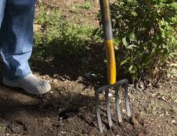 Get rid of the grass and weeds. The Best Garden Fork Options To Easily Loosen Dirt Bob Vila