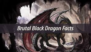 Brutal black dragons may be found in the catacombs of kourend. Brutal Black Dragon Facts Cryptids Guide