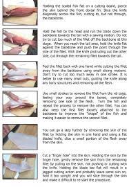How To Fillet A Fish Fish Cleaning Fish Fillet