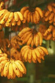 Pin On Puerto Rico Food Drink