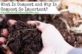 Maybe you would like to learn more about one of these? What Is Compost And Why Is Compost So Important One Hundred Dollars A Month