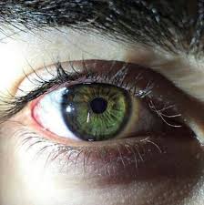 Scientists say your eye color reveals information about your personality. What Is Your True Eye Color Aesthetic Eyes Pretty Eyes Beautiful Eyes