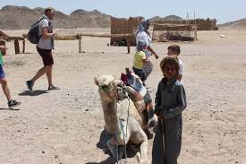 Do not use url shorteners/redirects. Egypt Hurghada Family Visit To Albatros Palace Resort
