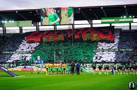 1982 qualifizierte sich der fc st. Fc St Gallen Bsc Young Boys 23 02 2020